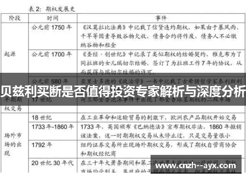 贝兹利买断是否值得投资专家解析与深度分析