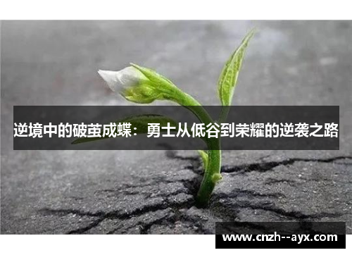 逆境中的破茧成蝶：勇士从低谷到荣耀的逆袭之路