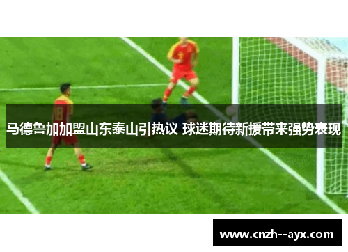 马德鲁加加盟山东泰山引热议 球迷期待新援带来强势表现